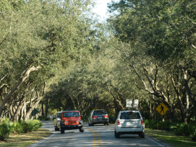 Vehicles travel through a canopy of trees along Scenic Highway 30A. | Photo by: Andrew Wardlow