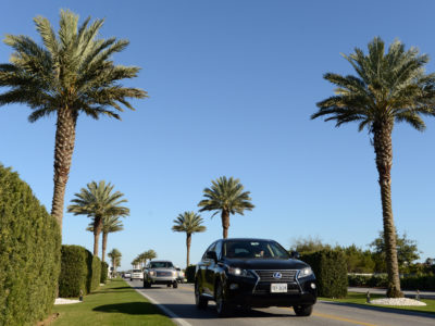 Vehicles cruise through a row of palm trees along Scenic Highway 30-A. | Photo by: Andrew Wardlow
