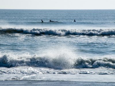 Cocoa Beach Surf