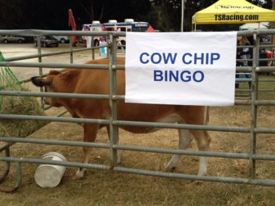 Cow Chip Bingo