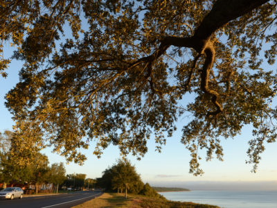 A car travels south along the Pensacola Scenic Bluffs Highway. Travelers can see Escambia Bay's scenic vistas from atop the giant bluffs that are the highest points along Florida's entire coastline.