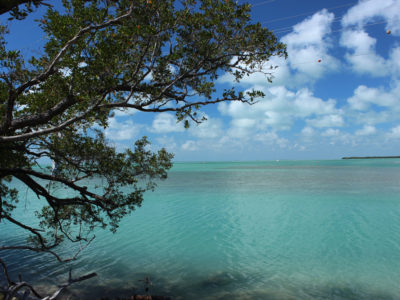 Florida Keys Bywa