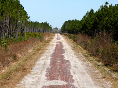 This stretch of Old Dixie Highway, built in 1914, is the longest continuous nine miles of original brick road in the Southeastern United States, and is part of the Heritage Crossroads: Miles of History Heritage Highway. Daron Dean for VISIT FLORIDA
