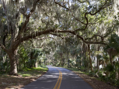 Over 150 miles of scenic roadway, the River of Lakes Heritage Corridor, takes you through Lake, Volusia , and Seminole County. This scenic byway is a combination of historic preservation, rich culture and Florida natural habitats at it's finest. (Photo/Julie Fletcher)