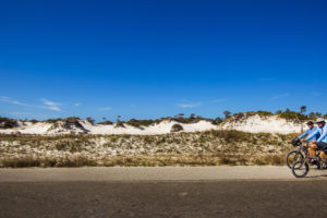 Sand dunes flank bicyclists as they pedal along the Big Bend Scenic Byway in St. George Island State Park. COLIN HACKLEY PHOTO