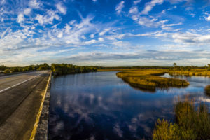 A panoramic view of Fla. Highway 65 crossing Cash Creek north of Eastpoint on the Forest Trail West section of the Big Bend Scenic Byway. COLIN HACKLEY PHOTO EDITOR'S NOTE: This image is comprised of multiple photos taken at the same moment and stitched together by Photoshop to create a panorama.