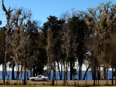 Part of the Scenic Highway travels along the St. Johns River as seen in Riverdale, Florida. | Photo by: Daron Dean