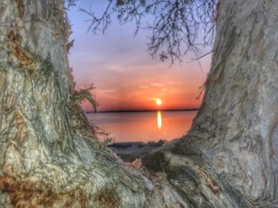 Tree Frame Sunrise
