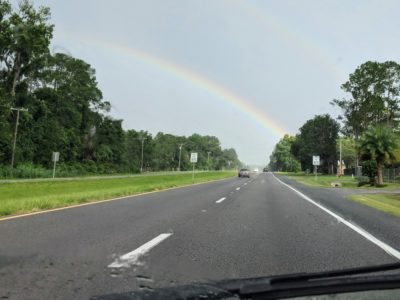 US 441 Rainbow