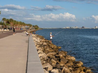 Fishing at the shoreline