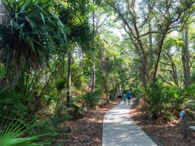 Apalachicola Nat. Estuarine Research Reserve - shady trail
