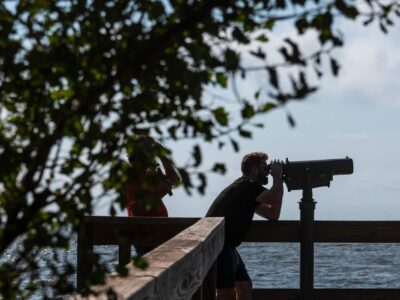 Birdwatching spot in the Estuarine Reserve