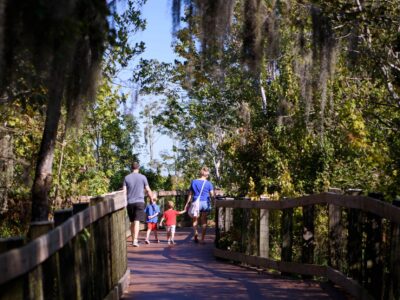 Boardwalk at Oakland Nature Preserve