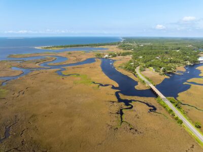Carrabelle wetlands