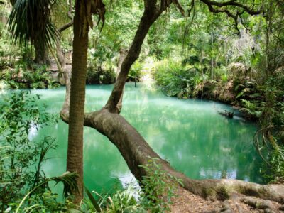 Green Springs