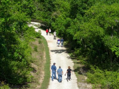 Lake Apopka Loop Trail