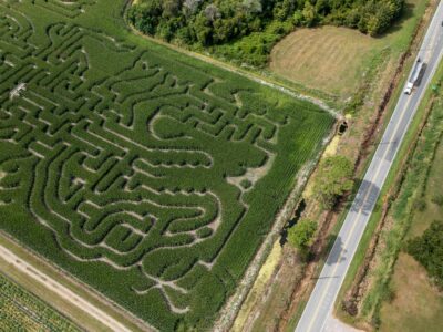 Long Farms Corn Maze aerial view