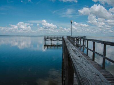 Pier at Newton Park