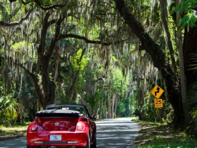 ROLHC canopy in DeBary
