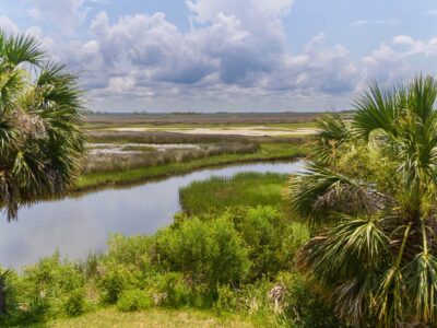 St. Marks National Wildlife Refuge