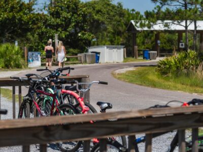 Bikes at Topsail Preserve State Park