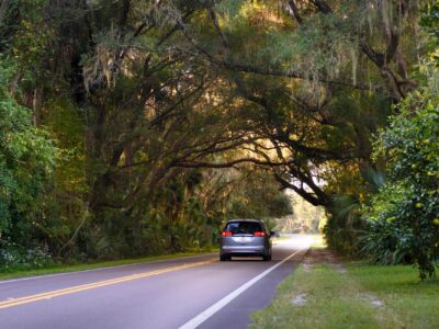 Canopy on Old Florida Heritage Highway