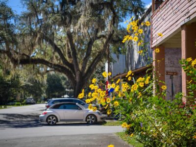 Historic Micanopy