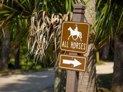Horse Trails at Princess Place Preserve