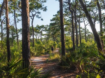 Longleaf Trailhead