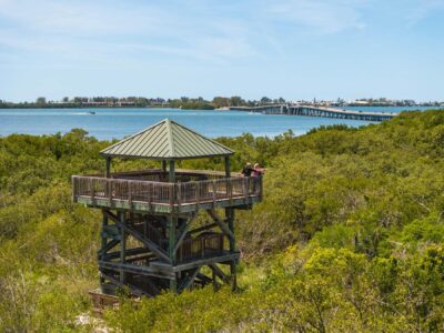 Neal Preserve lookout tower