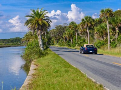 Ormond Loop drive