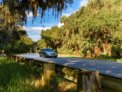 Ormond Loop – Spanish moss and lush trees