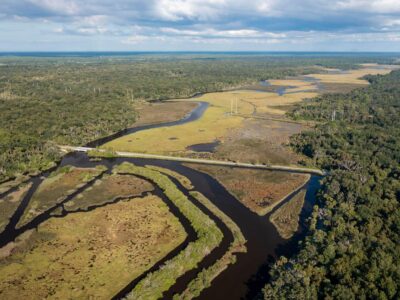 Ormond Loop wetlands