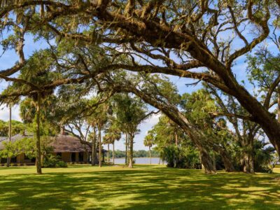 Princess Place Preserve