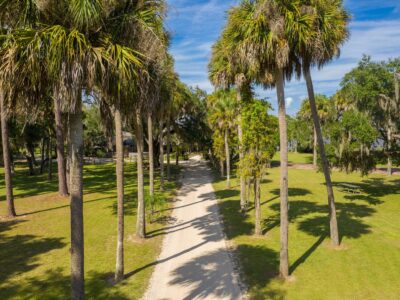 Princess Place Preserve tall trees