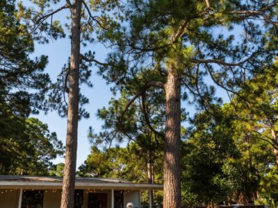 Topsail Preserve State Park campground cafe