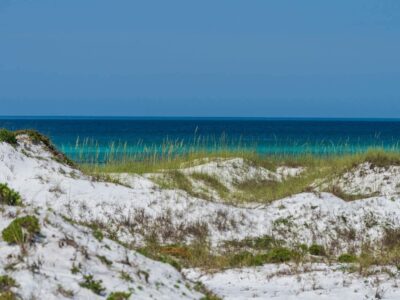 White dunes at Topsail Preserve State Park