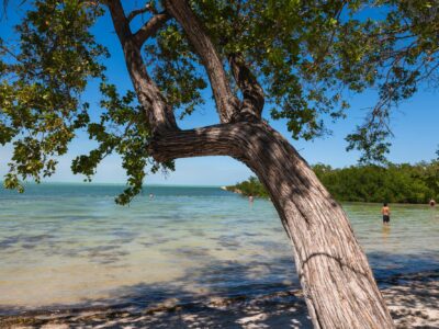 Islamorada Beach