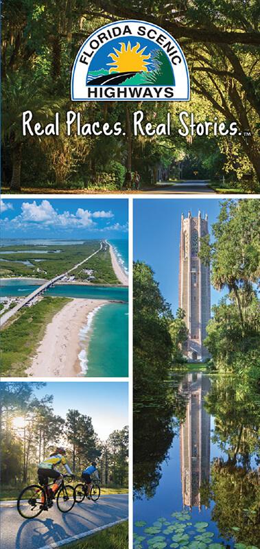 FSHP Brochure Thumbnail